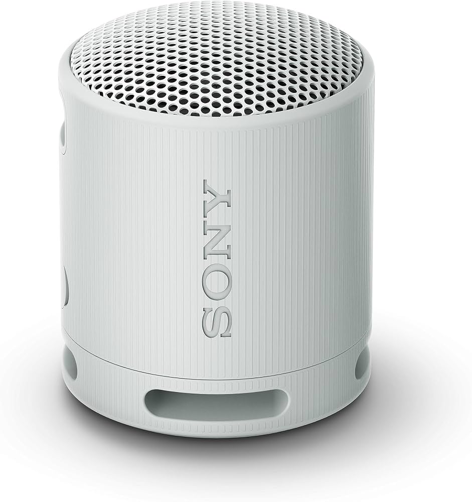 Sony SRS-XB100 Speaker Wireless Bluetooth Grigio – 16h IP67